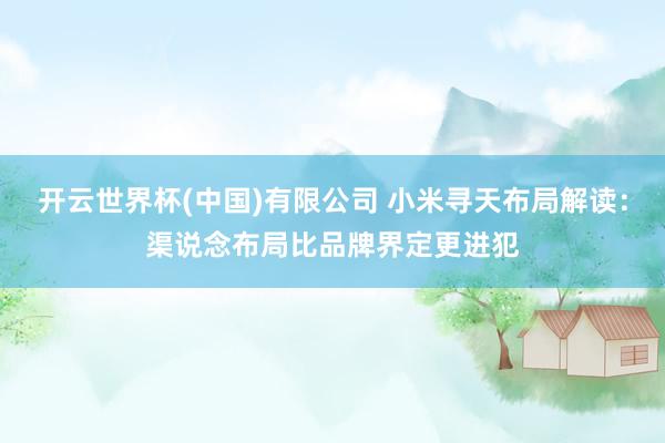 开云世界杯(中国)有限公司 小米寻天布局解读:渠说念布局比品牌界定更进犯