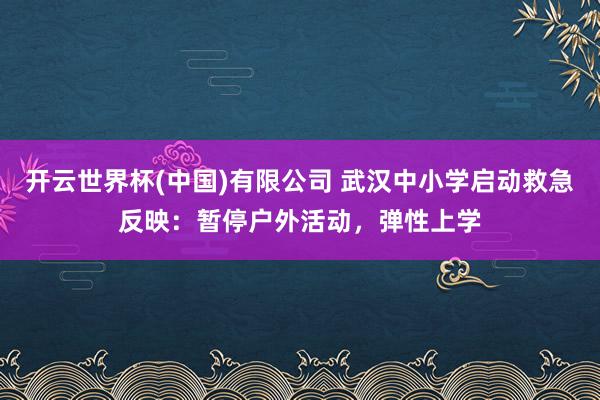 开云世界杯(中国)有限公司 武汉中小学启动救急反映:暂停户外活动,弹性上学