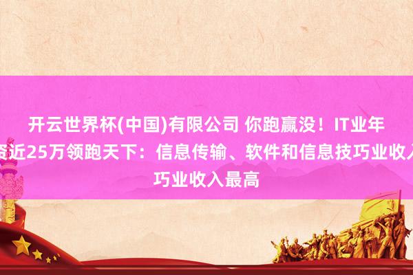 开云世界杯(中国)有限公司 你跑赢没!IT业年均工资近25万领跑天下:信息传输、软件和信息技巧业收入最高