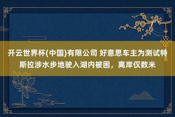 开云世界杯(中国)有限公司 好意思车主为测试特斯拉涉水步地驶入湖内被困,离岸仅数米