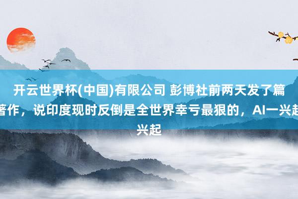 开云世界杯(中国)有限公司 彭博社前两天发了篇著作，说印度现时反倒是全世界幸亏最狠的，AI一兴起