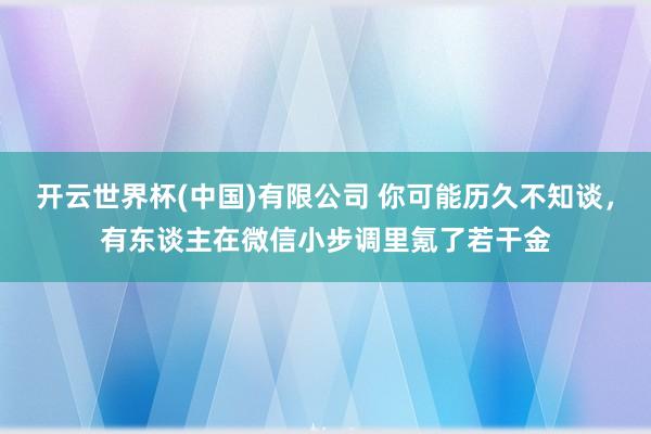 开云世界杯(中国)有限公司 你可能历久不知谈,有东谈主在微信小步调里氪了若干金