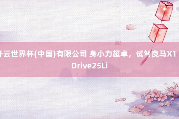 开云世界杯(中国)有限公司 身小力超卓,试驾良马X1 xDrive25Li