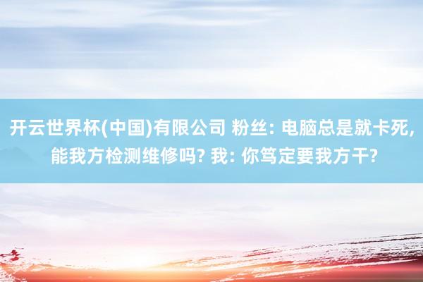 开云世界杯(中国)有限公司 粉丝: 电脑总是就卡死, 能我方检测维修吗? 我: 你笃定要我方干?