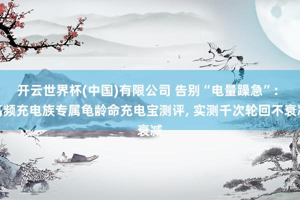 开云世界杯(中国)有限公司 告别“电量躁急”: 高频充电族专属龟龄命充电宝测评, 实测千次轮回不衰减