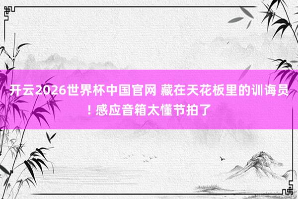 开云2026世界杯中国官网 藏在天花板里的训诲员! 感应音箱太懂节拍了
