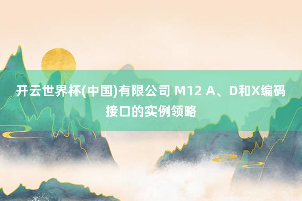 开云世界杯(中国)有限公司 M12 A、D和X编码接口的实例领略