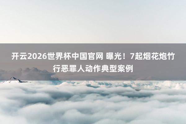 开云2026世界杯中国官网 曝光!7起烟花炮竹行恶罪人动作典型案例
