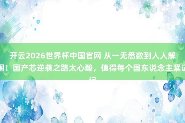 开云2026世界杯中国官网 从一无悉数到人人解围!国产芯逆袭之路太心酸,值得每个国东说念主紧记