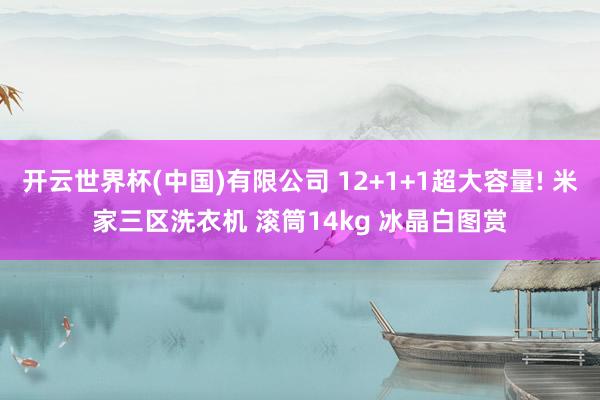 开云世界杯(中国)有限公司 12+1+1超大容量! 米家三区洗衣机 滚筒14kg 冰晶白图赏