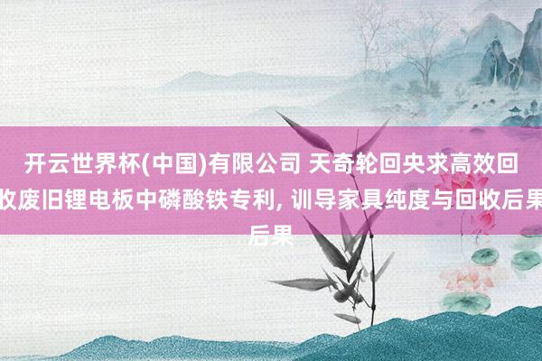 开云世界杯(中国)有限公司 天奇轮回央求高效回收废旧锂电板中磷酸铁专利, 训导家具纯度与回收后果