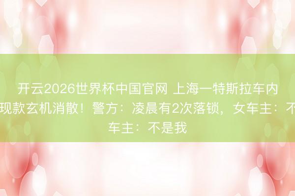 开云2026世界杯中国官网 上海一特斯拉车内30万现款玄机消散!警方:凌晨有2次落锁,女车主:不是我